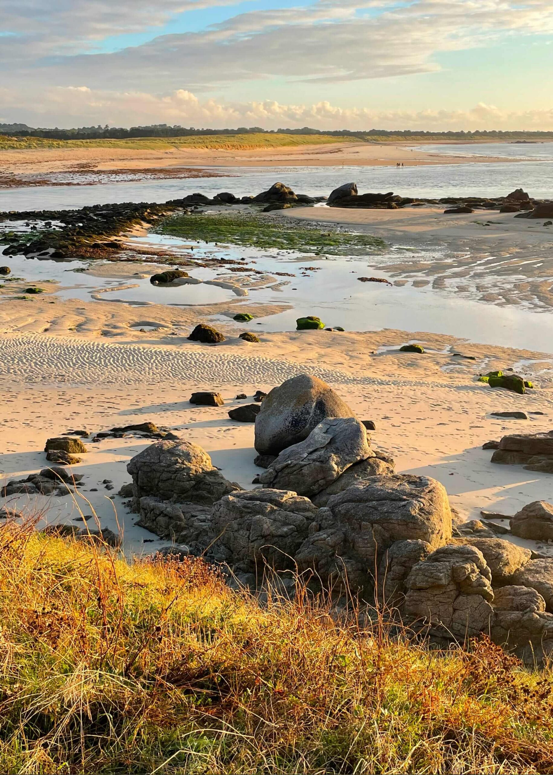 Lever de soleil sur une plage à marée basse avec des rochers, des algues et de la végétation